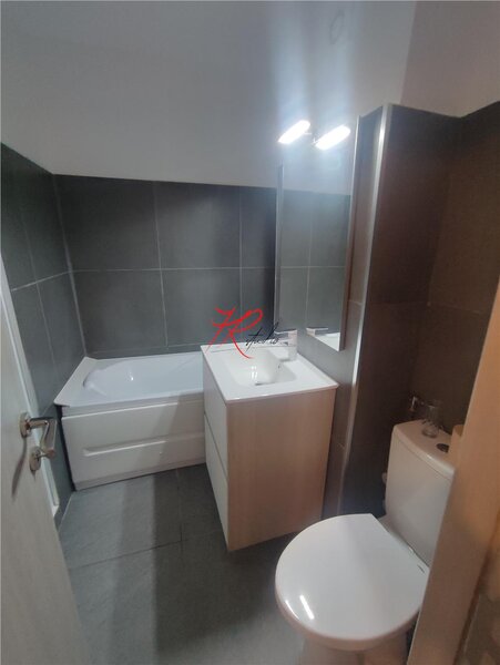 Teiul Doamnei, vanzare apartament 2 camere renovat 2025.